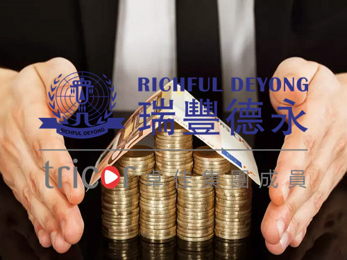 選擇加拿大公司的類型