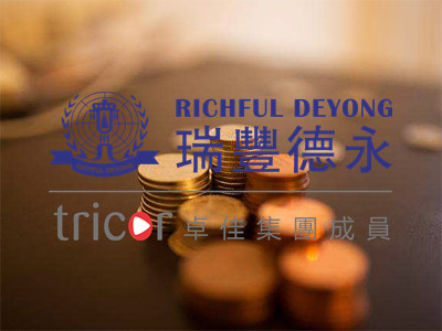 特拉華州注冊(cè)公司的形式